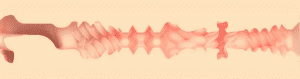 Leigh Raven: FeelLeigh Mouth Sleeve
