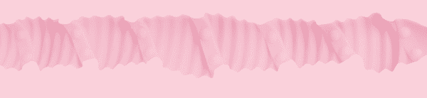 Birthday Cake Edition Sleeve