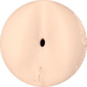 Aurora Willows - Fleshlight Åbning
