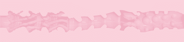 Birthday Cake Edition Sleeve