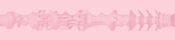 Birthday Cake Edition Sleeve