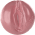Jenna Haze: Birthday Cake Edition Orifice