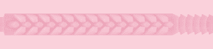 Jenna Haze: Birthday Cake Edition Sleeve