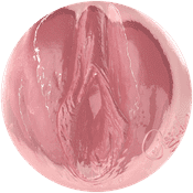 Ouverture de Kissa Sins - Fleshlight