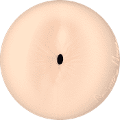 Orificio Fleshlight masturatore - River North