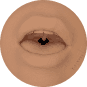 Orificio Fleshlight masturatore - Sensoriaart
