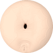Serene Sinz - Fleshlight Åbning