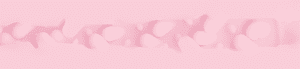 Teagan Presley: Birthday Cake Edition Sleeve