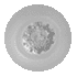 Spinner 04 Pixel Orifice