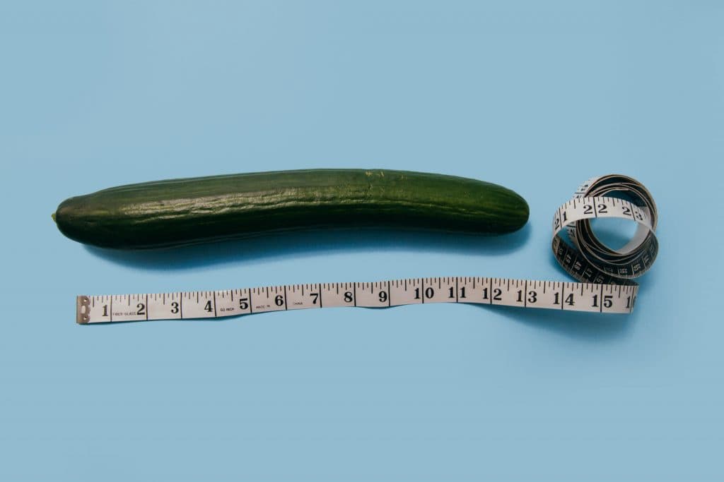 average penis size