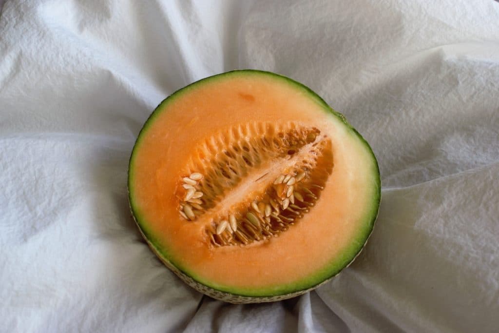 cantaloupe vagina