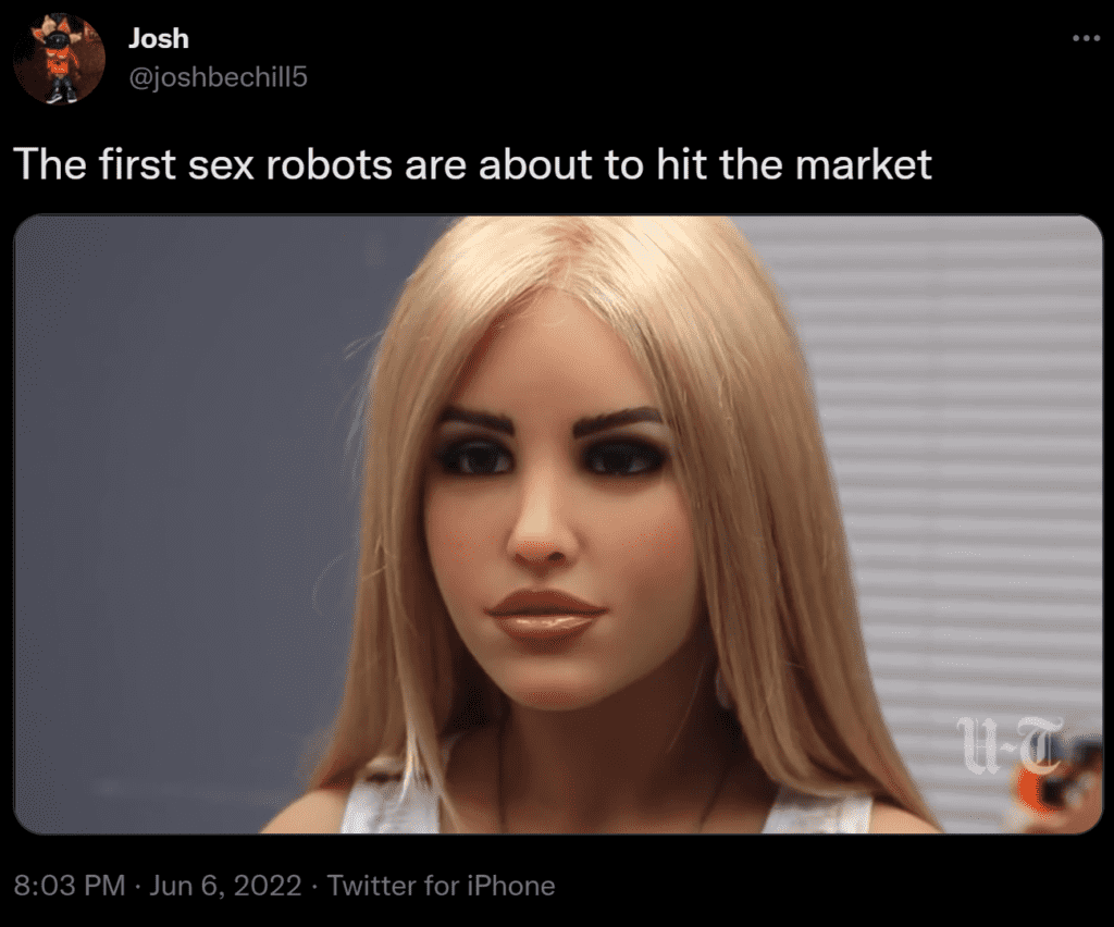 introducing first sex robots