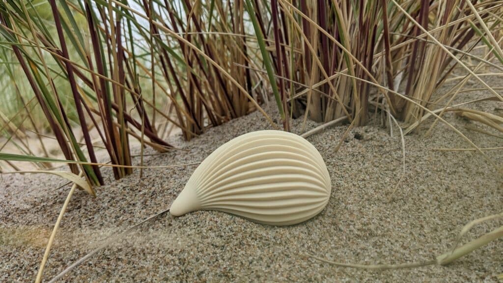 kushi as seashell