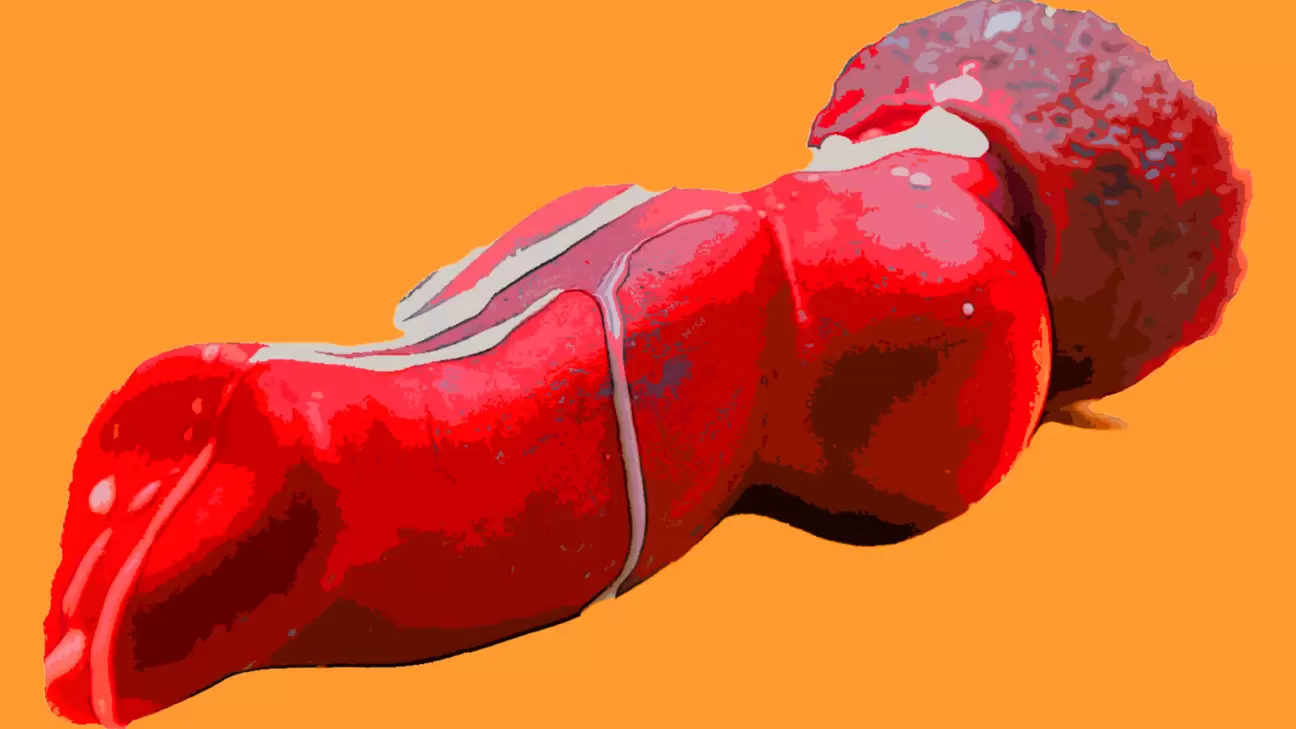 Dog Dildos and How They Make Our Fantasies Come True